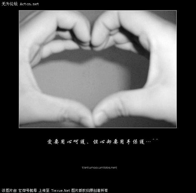 176_107868_7df286915ddfb83.jpg