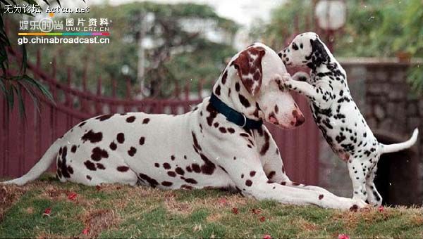 xinsrc_07205020809447181952615[1].jpg