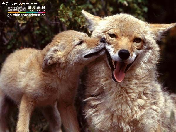 xinsrc_14205020809449532153429[1].jpg