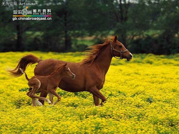 xinsrc_14205020809440932419427[1].jpg