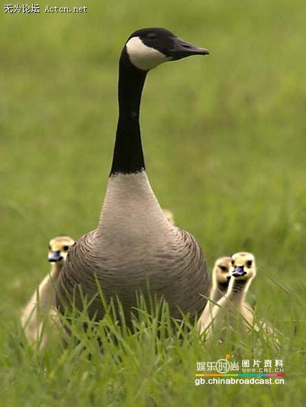 xinsrc_06205020809449531291713[1].jpg