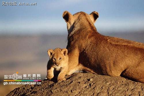 xinsrc_1020502080944937918221[1].jpg