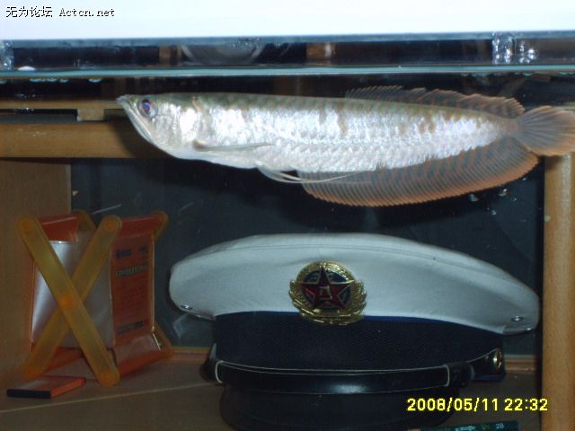 Ƭ 025.jpg