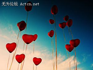 large_2659i65.jpg