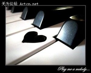 large_2514a65.jpg