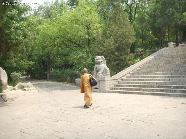 SSM15171.JPG