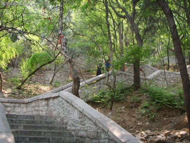 SSM15174.JPG