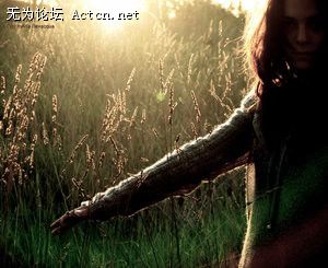 large_12559c177.jpg
