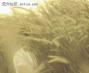 large_1024f58.jpg