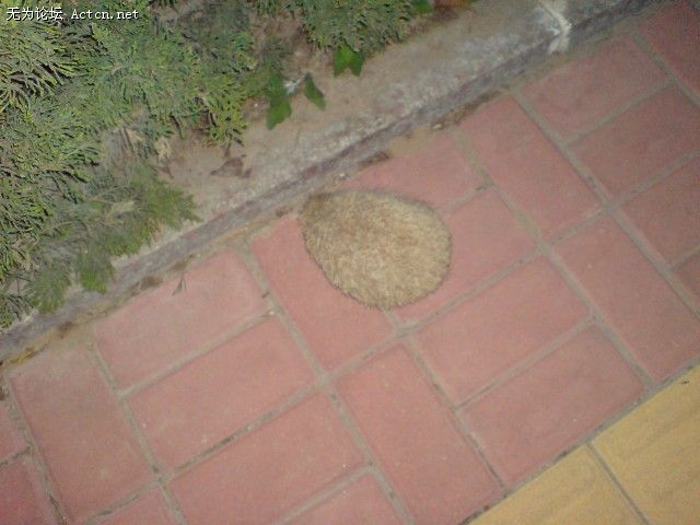 DSC00084.JPG
