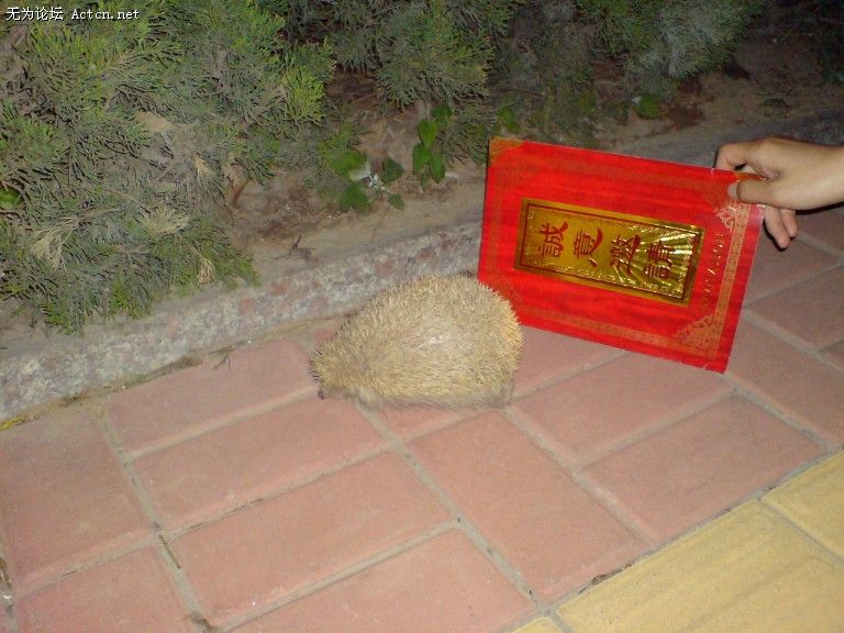 DSC00086.JPG