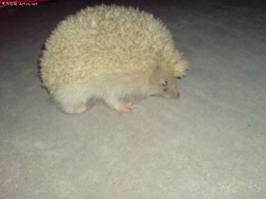 DSC00093.JPG