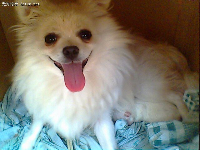 IMG0379A.jpg