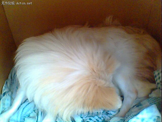 IMG0378A.jpg