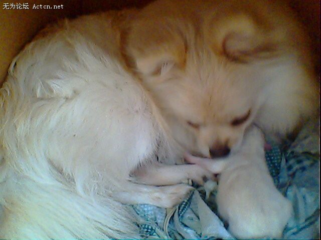 IMG0381A.jpg