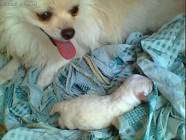 IMG0376A.jpg