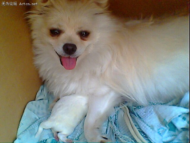 IMG0374A.jpg