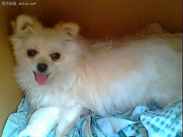 IMG0373A.jpg