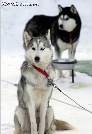 7_17831[1].jpg