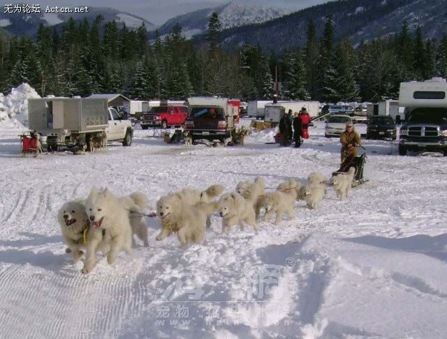 20071226_37c6943c95269e31e149IbTsIMyHoTYu[1].jpg