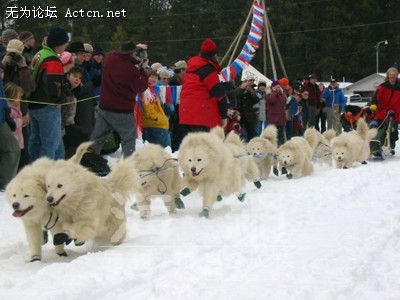 20071227_2bac0c2895e8aacedd33ZdVwCk48xSbh[1].jpg