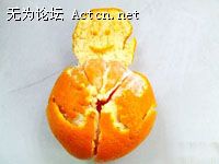 04.jpg