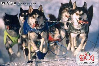 200711219375351537_AlzGIoPVplAQ[1].jpg