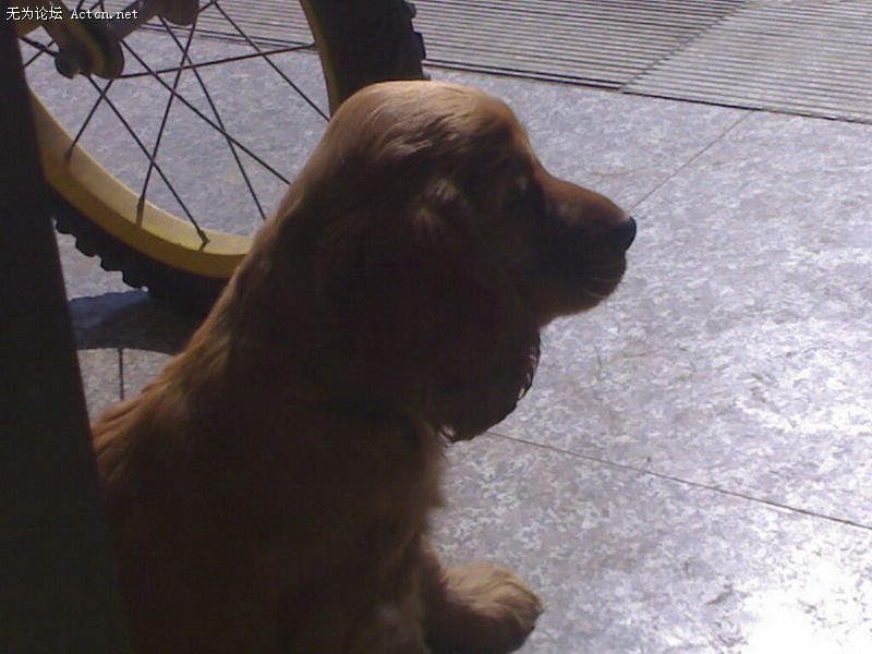 20080303129_С.jpg