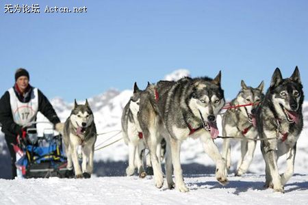 xin_15201051509548433214216[1].jpg