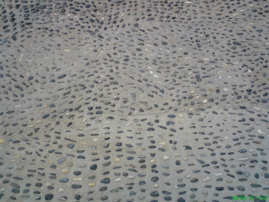 DSC00301.JPG