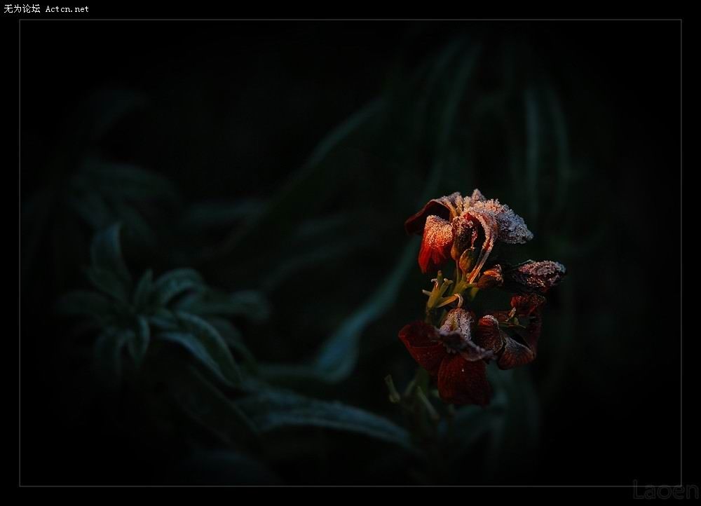 20080314_a71df19c472bffa61978hKUdtHq21dT4.jpg
