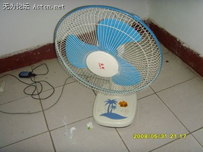 3333.jpg