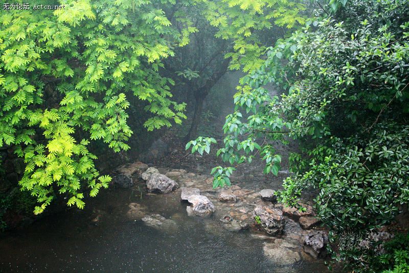 IMG_0271a.jpg
