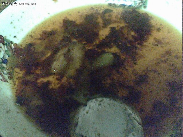 IMG0475A.jpg