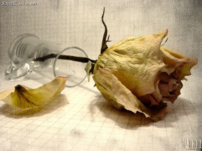 computer_digital_art_02_813.jpg