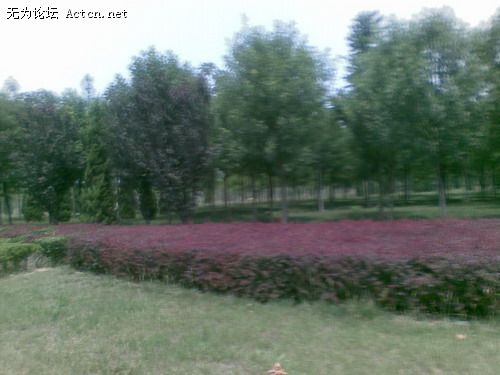 20080611(002).jpg