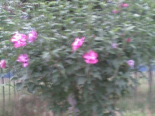 20080612.jpg