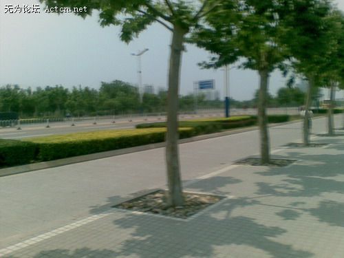 20080611(004).jpg