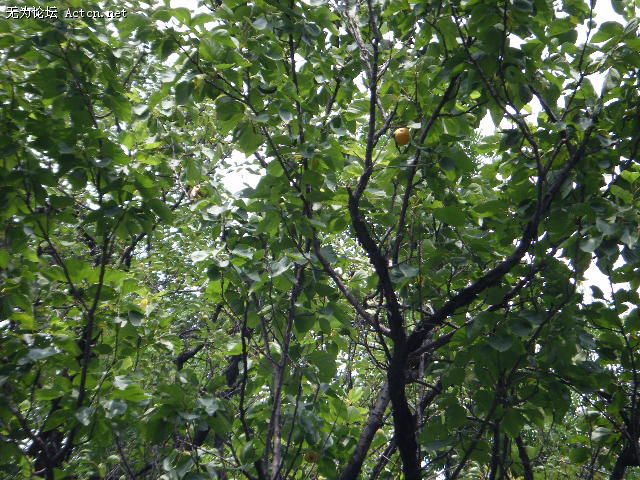 DSCF0184.JPG
