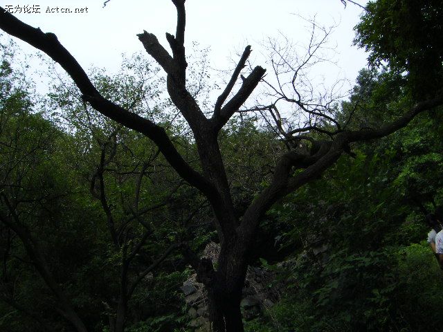 DSCF0176.JPG