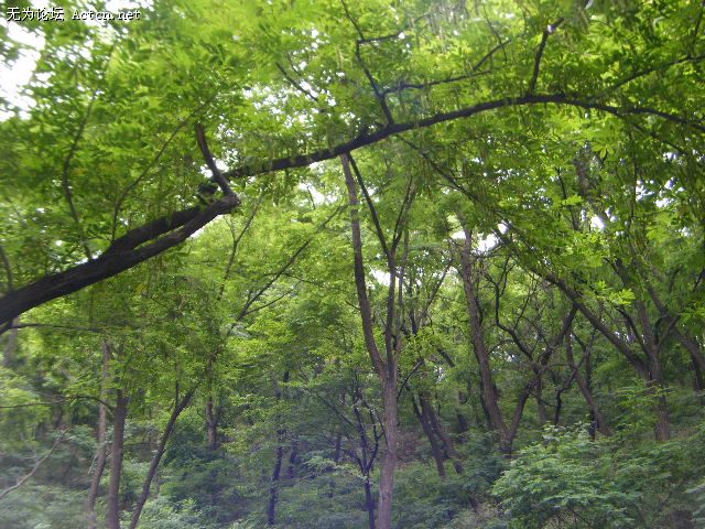 DSCF0175.JPG