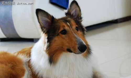 DSC_0045.jpg