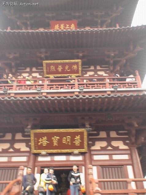 DSC00665.JPG