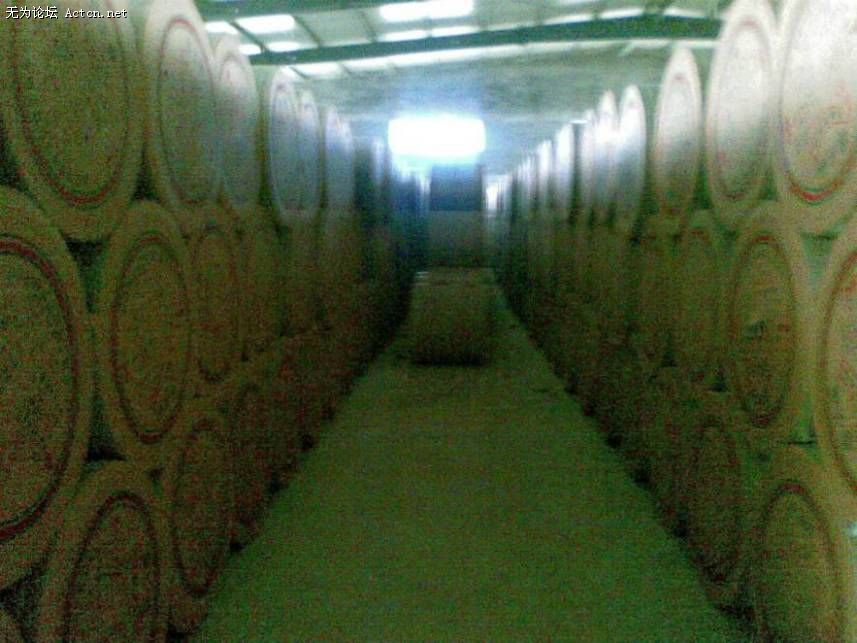 20080629(015).jpg