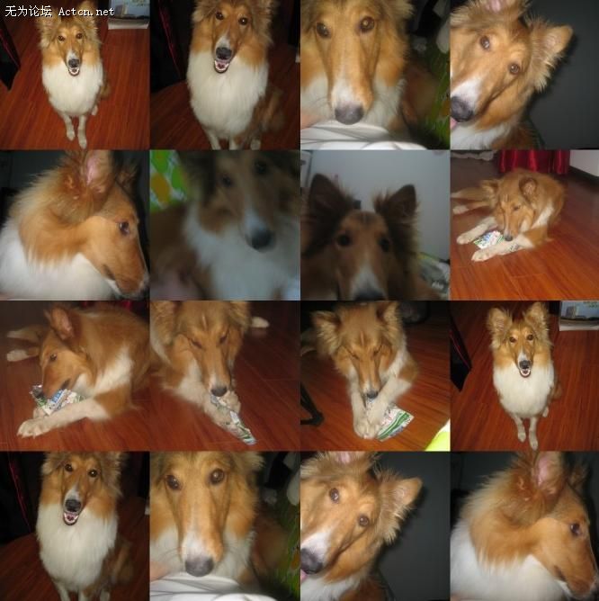 δ.jpg