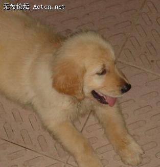 20080621_2d82e012f46ae4dc8a73tucVycE1h6rw[1].jpg