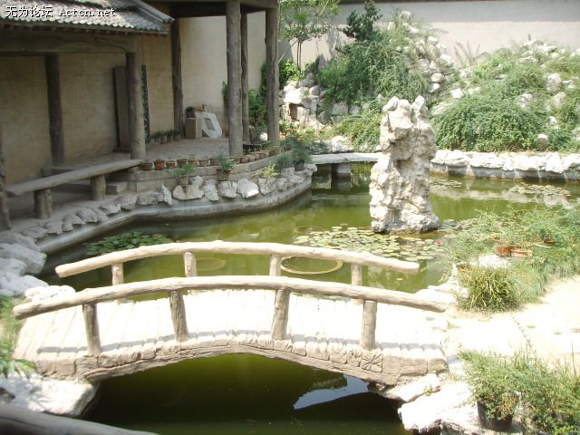 SSM15383.JPG