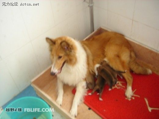 20080706_f7b77a1be145d5735625idYx4OBBXwUs.jpg.thumb.jpg