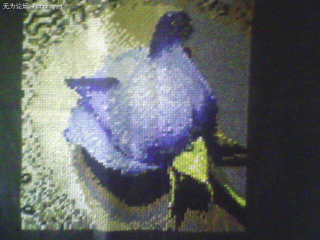 NǰĵһƷ