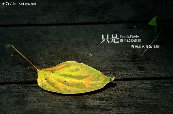 04.jpg